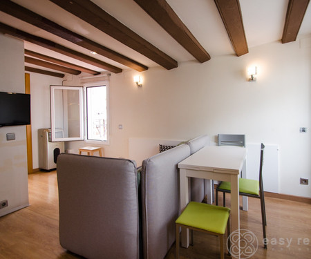 Renovated Penthouse 30m2 with communal terrace