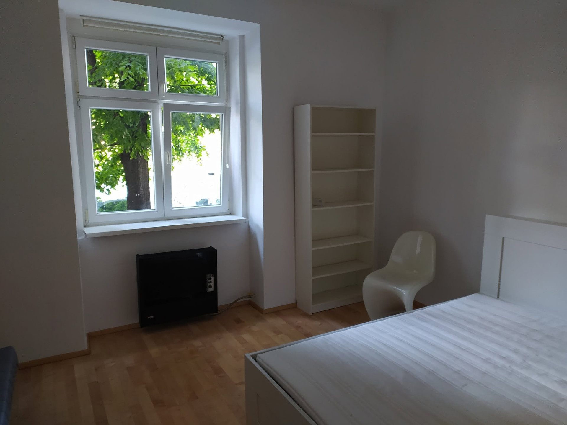 Bedroom with bookshelf and window