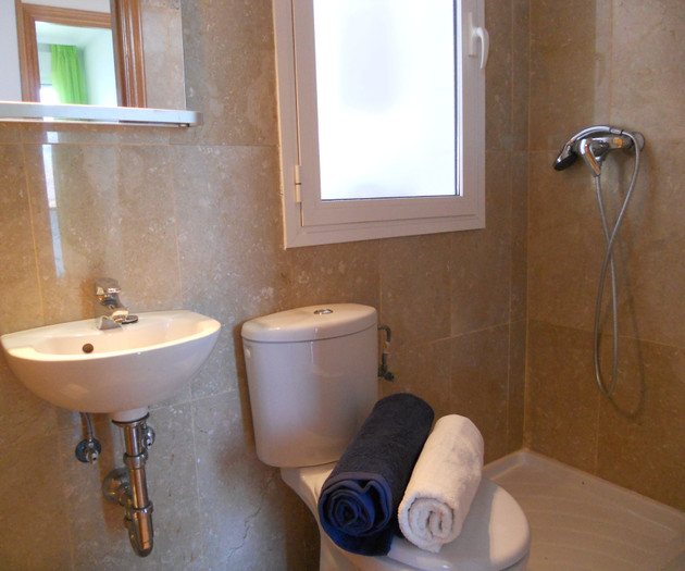 Bathroom sink and shower