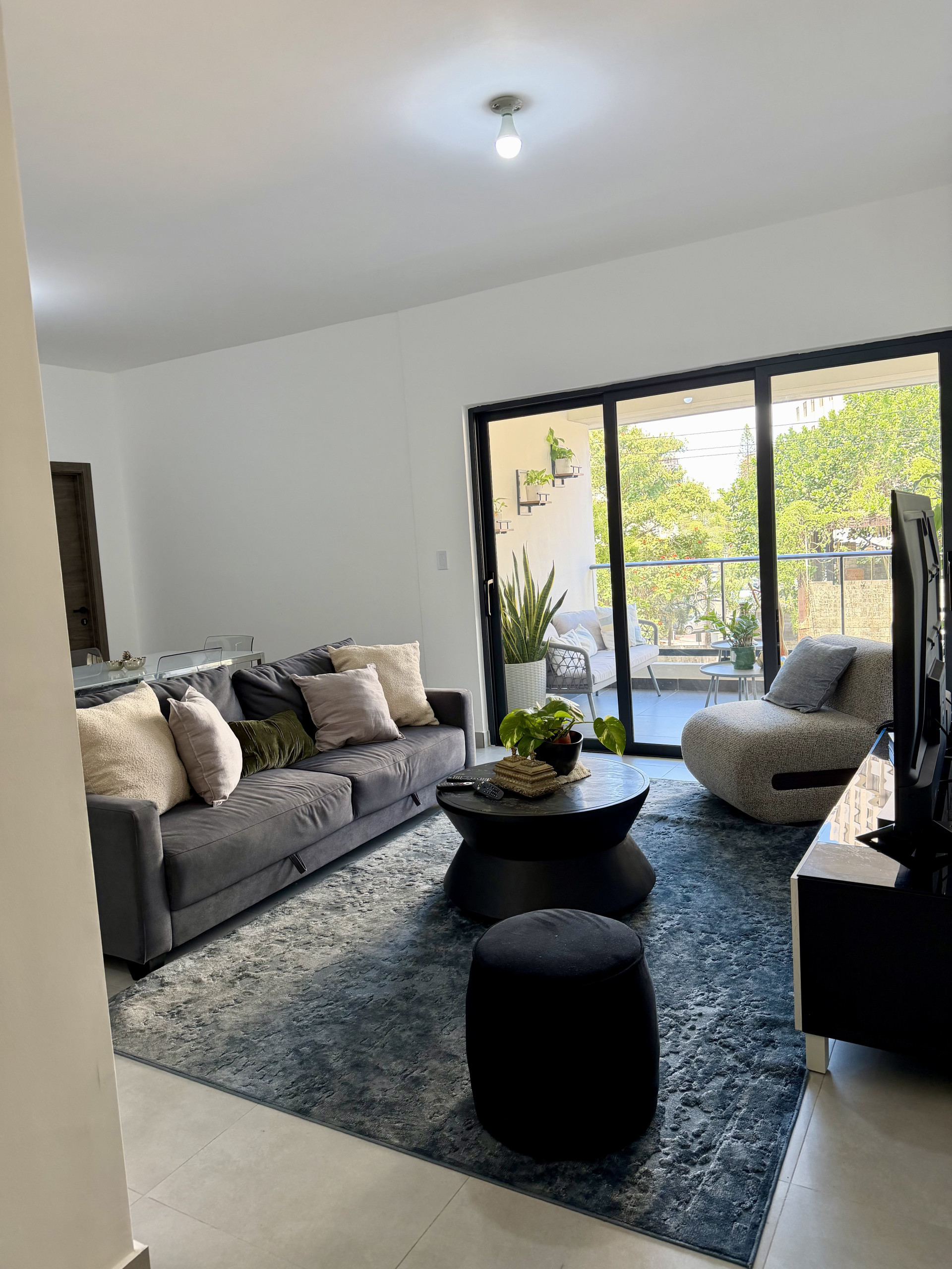 Stylish living room with large windows