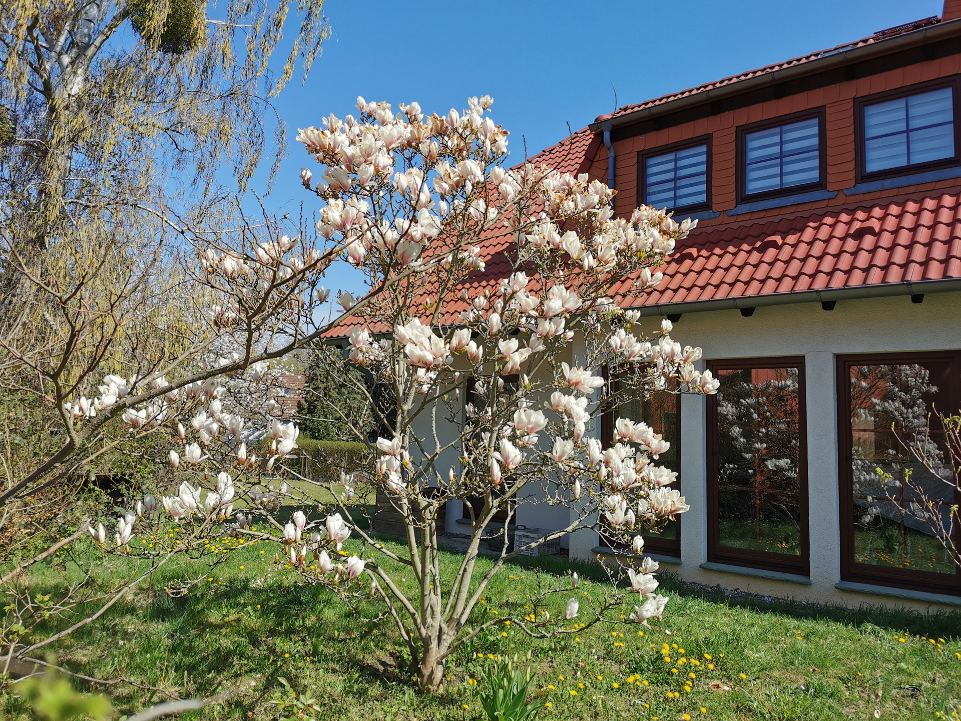 Haus mit Garten