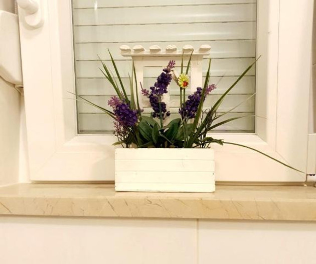 Orchid SeaView Apartment- Stikovica, Dubrovnik