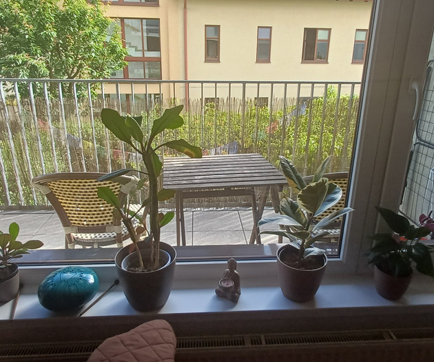 Nick and Eli's Place