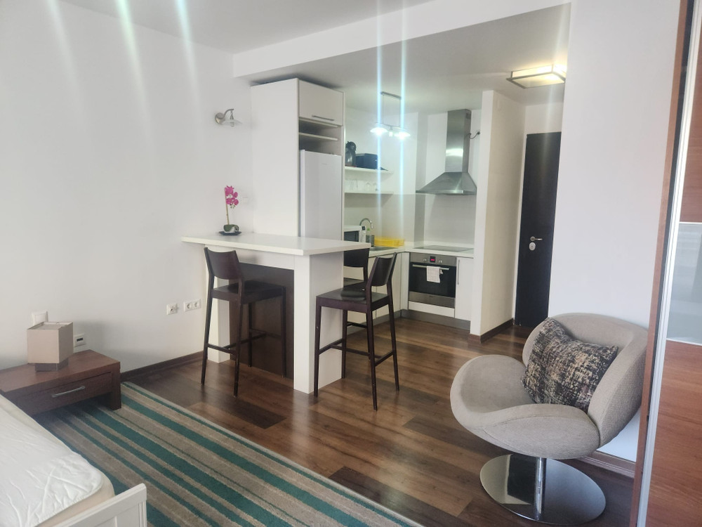  Studio Apartment preview