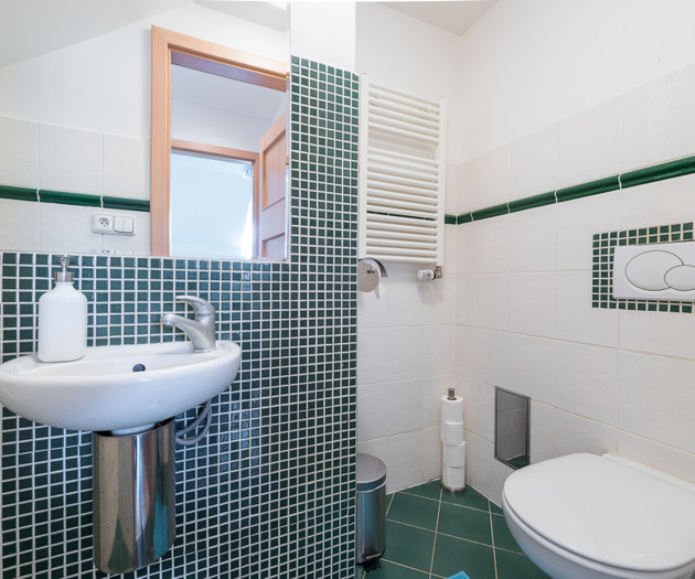 ROOF APARTMENT with TERRACE near WENCESLAS Sq.