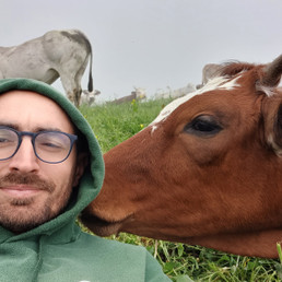 Landlords profile photo