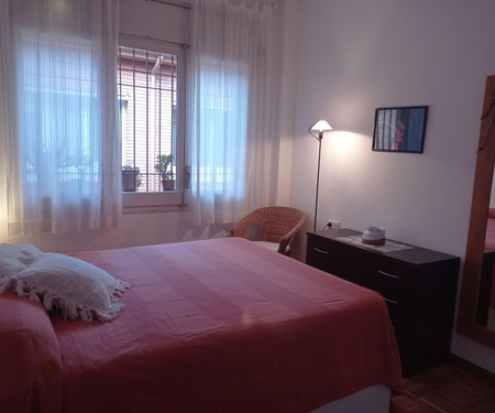 Bright apartment with trees in Barcelona