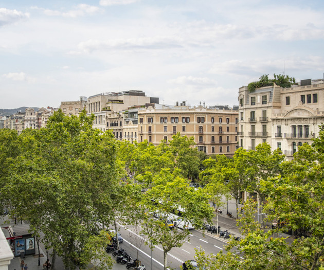 Avenue view from balcony