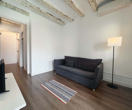 FABULOUS 3 BEDROOM APARTMENT IN GRACIA