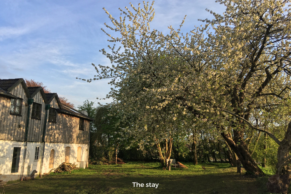 Workation in the German countryside - Apartment double room