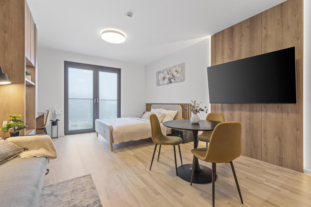 Modern Stylish Studio with Castle View preview