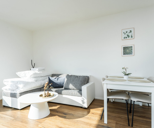 Klamovka stylish Apartment