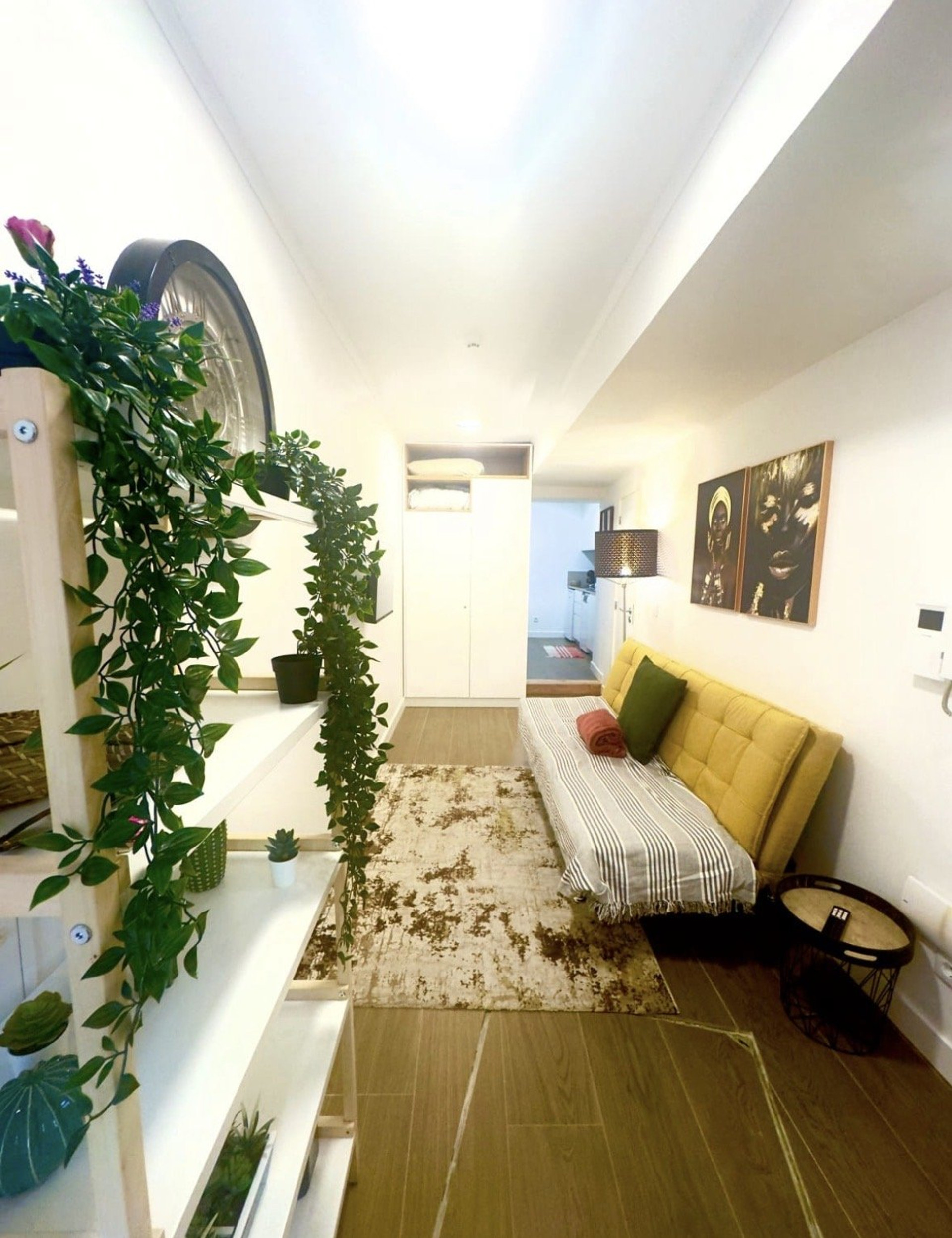 Cozy living room with plants