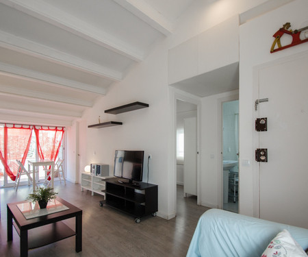 Nice 45m2 Penthouse. Furnished and equipped