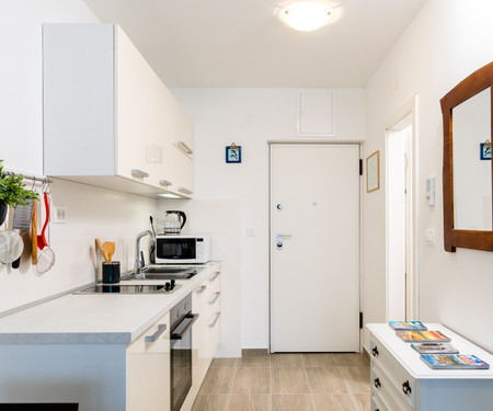 Studio Apartment  Romana