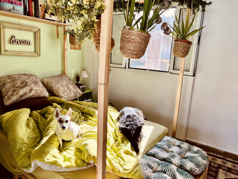 PENTHOUSE apartment in central Athens preview