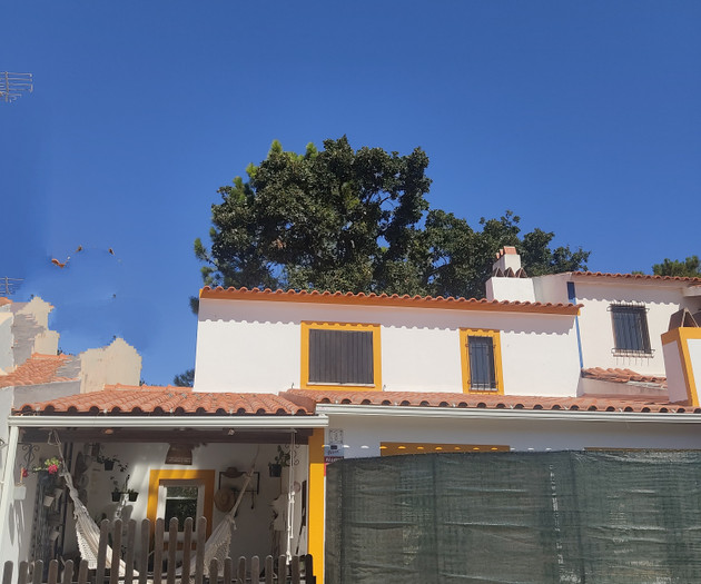 Sunny charm house