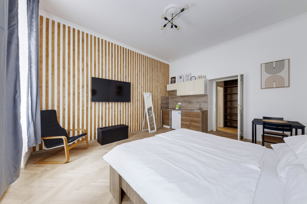 Studio apartment Zizkov preview