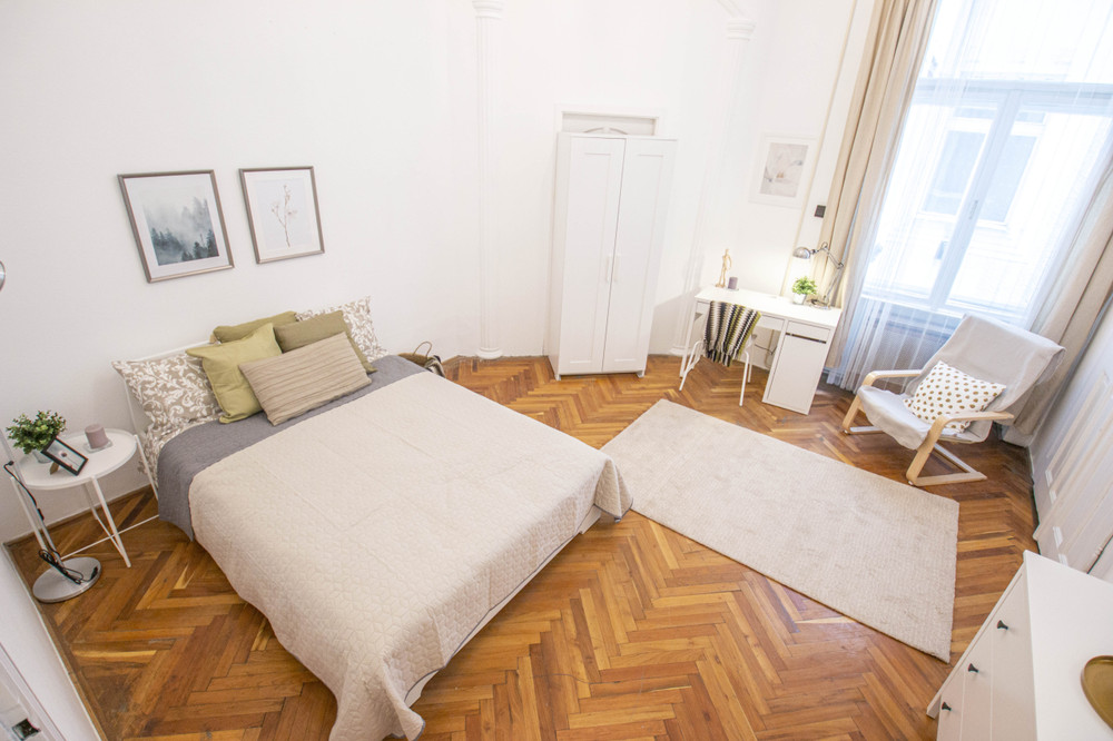Student Room on Váci Street 42 Room 3 preview