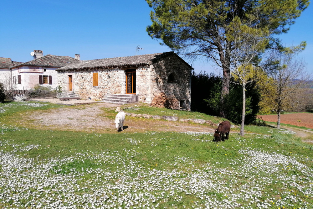 Authentic French Guesthouse - Ensuite double room