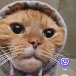 Landlords profile photo