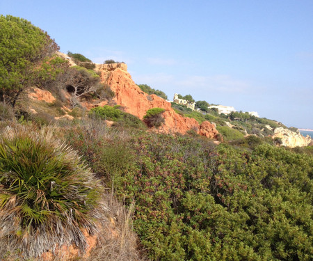 Moinho Apartment View Sea and Marina Albufeira