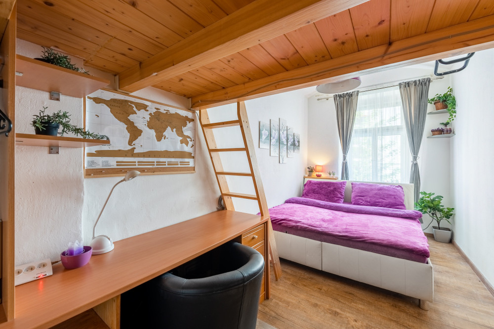 Quiet 1 bedroom flat Žižkov (wifi+Netflix incl) preview