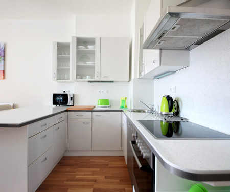 One-bedroom apartment, Fitness, terrace, Prague 10