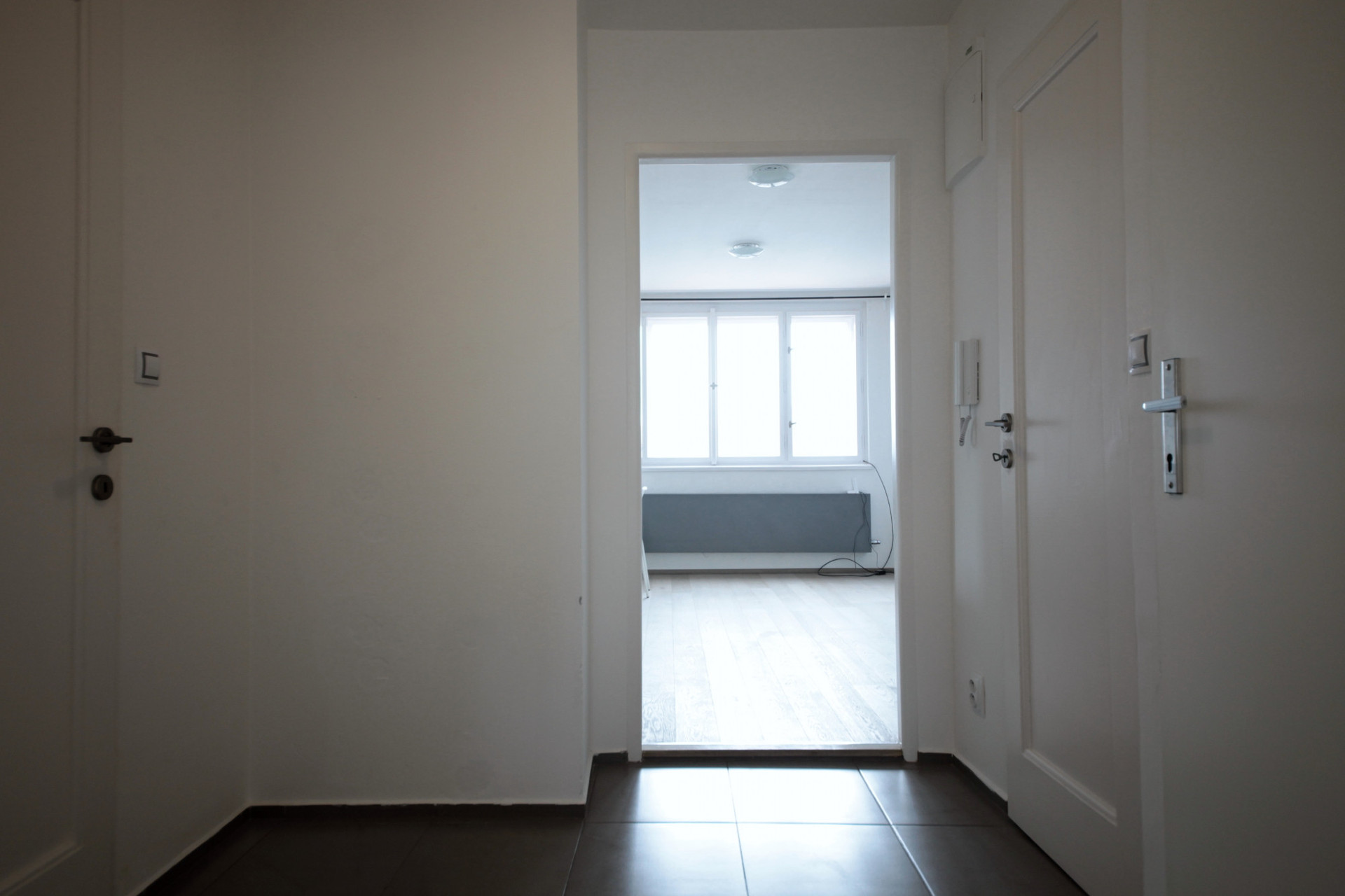 Hallway entrance with multiple doors