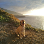 Landlords profile photo