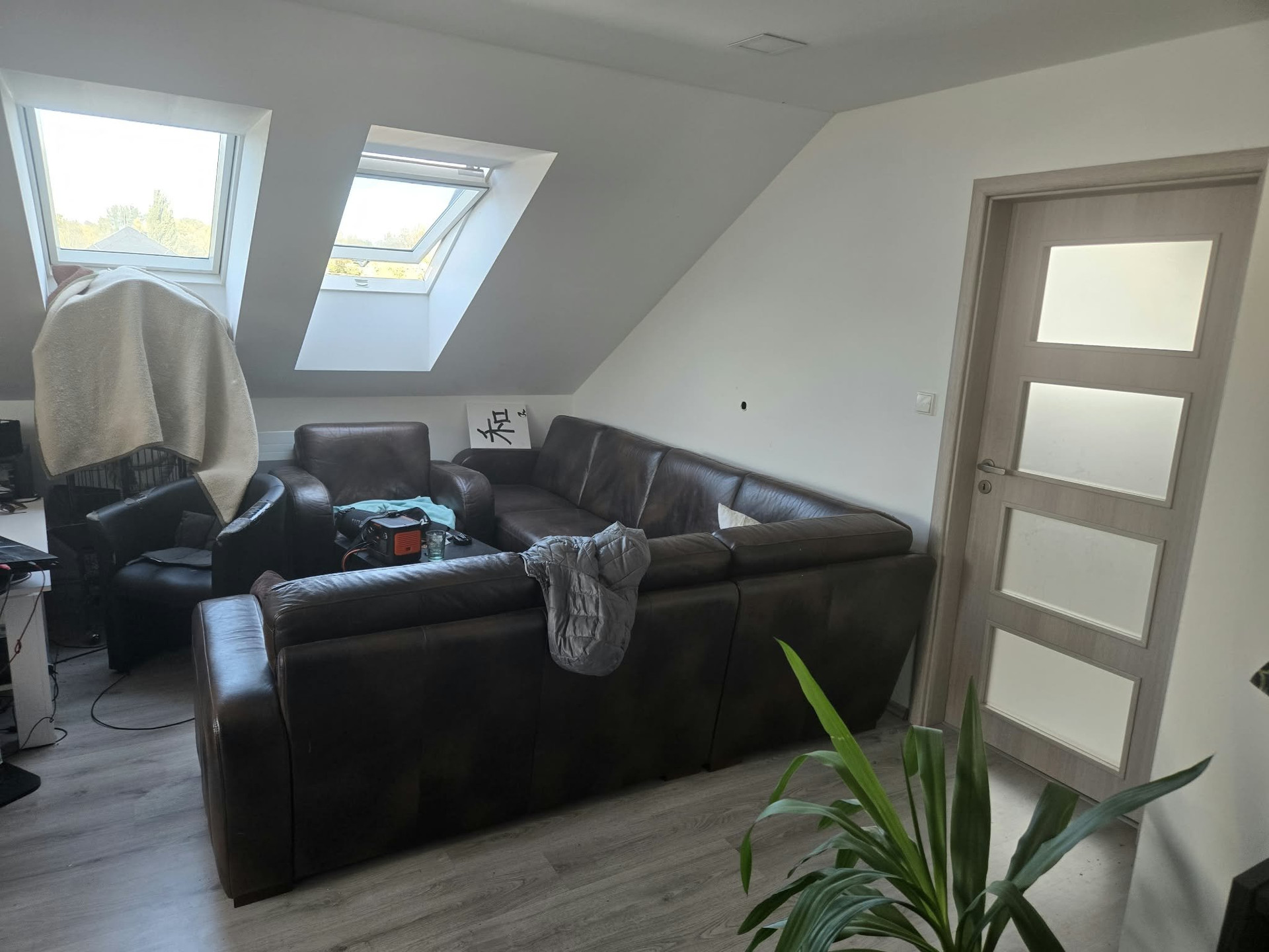Living room with leather sectional