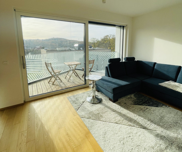 New luxurious apartment in Vilapark Klamovka