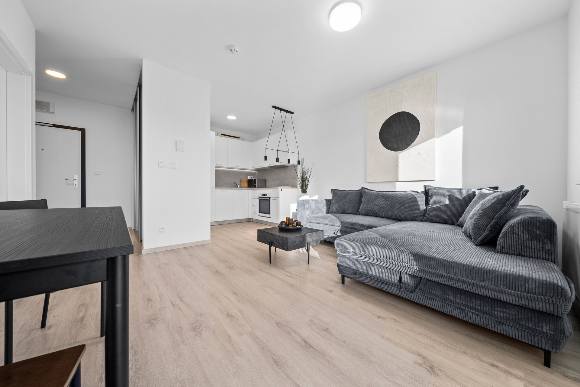 Open living room and kitchen