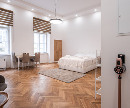 Newly renovated apartment in the center of Prague