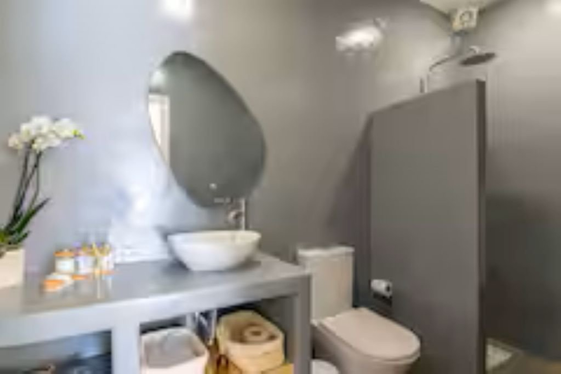 Bathroom sink and shower area