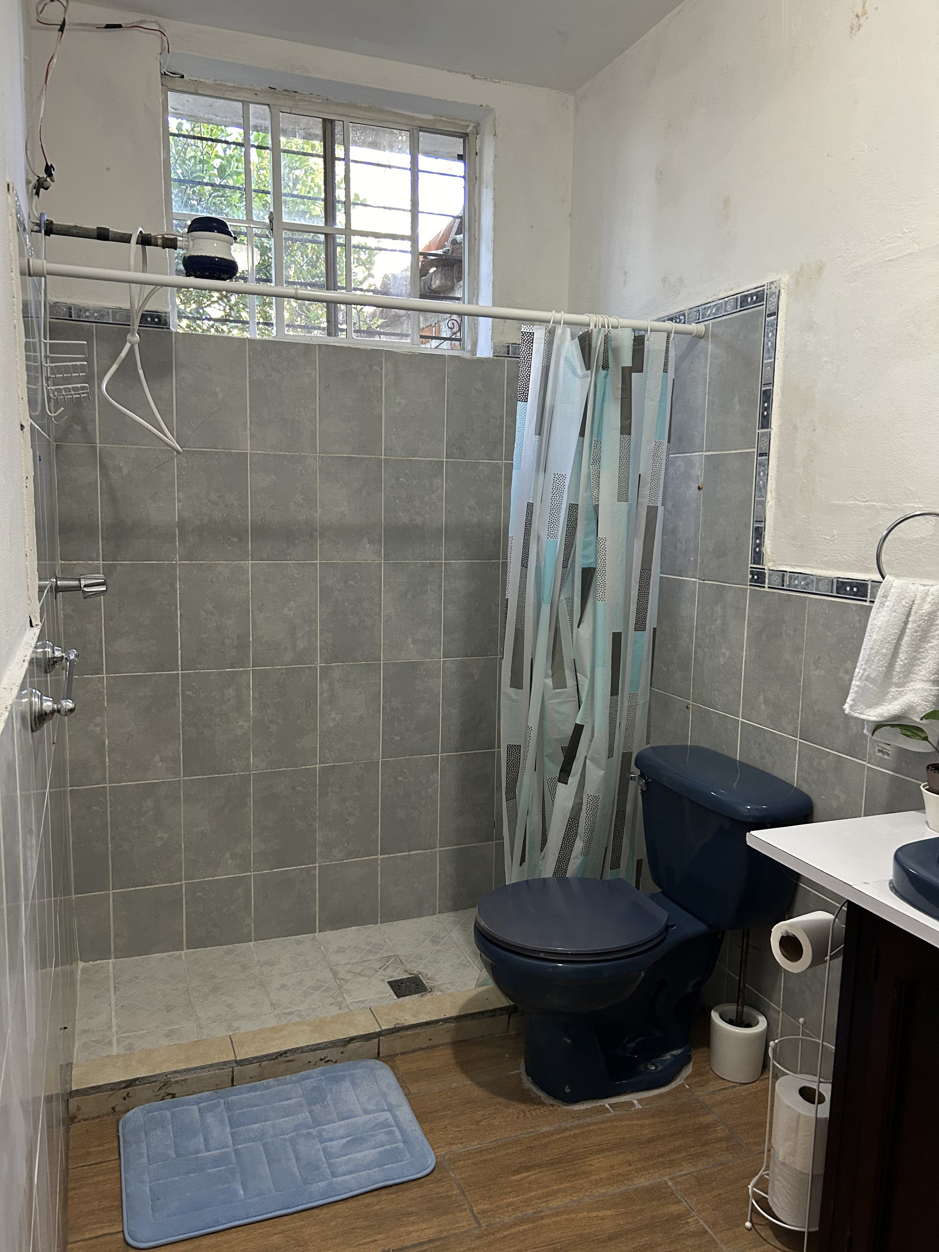 Bathroom shower and toilet