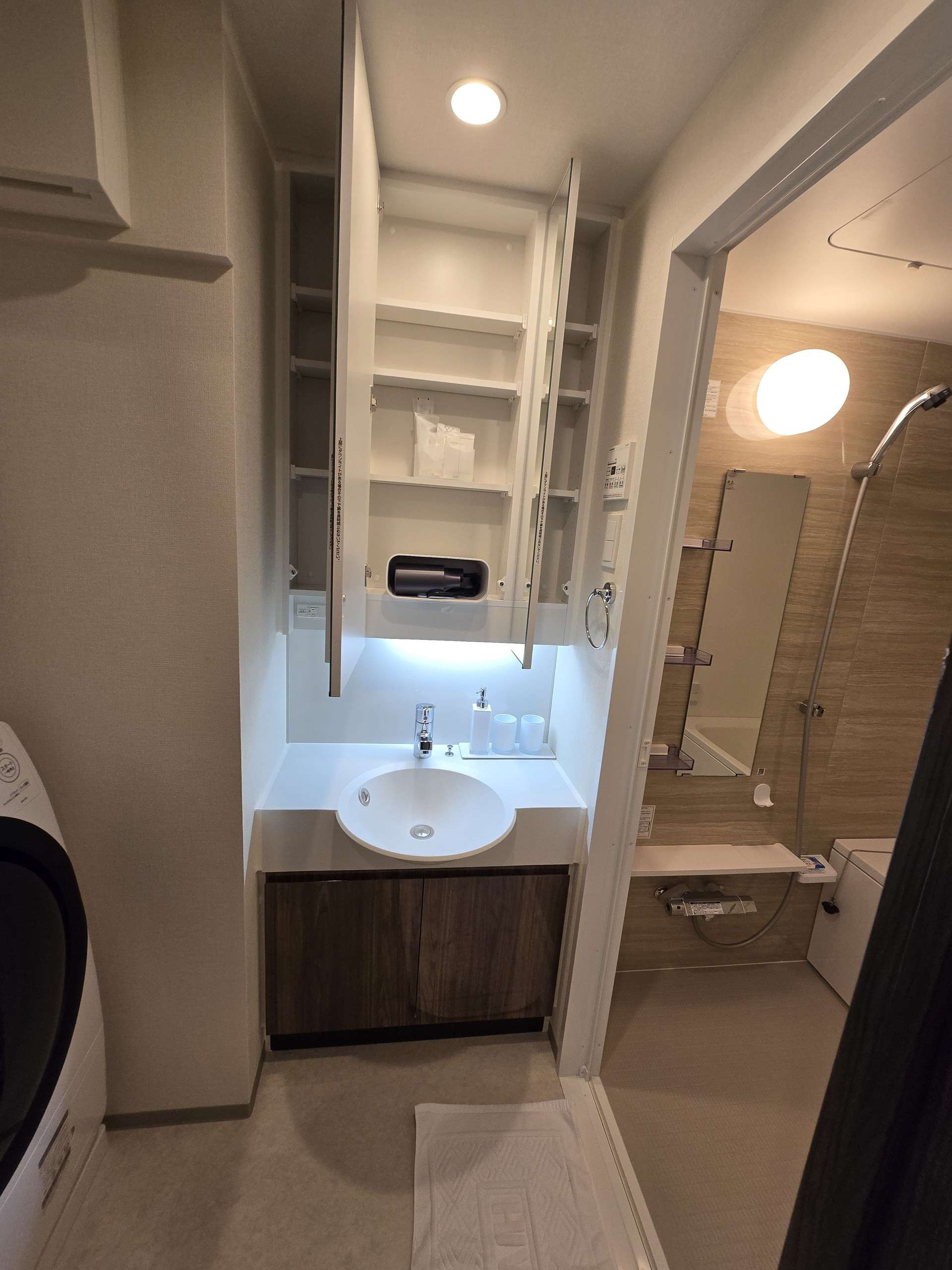 Bathroom sink and mirror