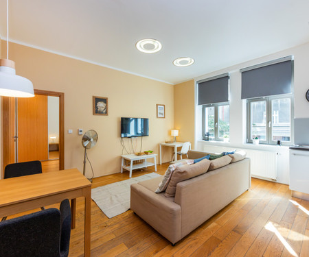 Cosy and bright flat in Vinohrady/Žižkov