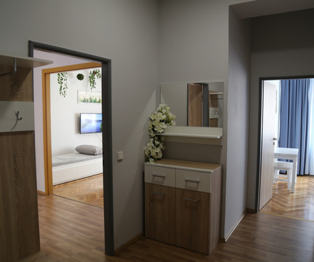 Modern 2BR apartment near Karlovo Náměstí