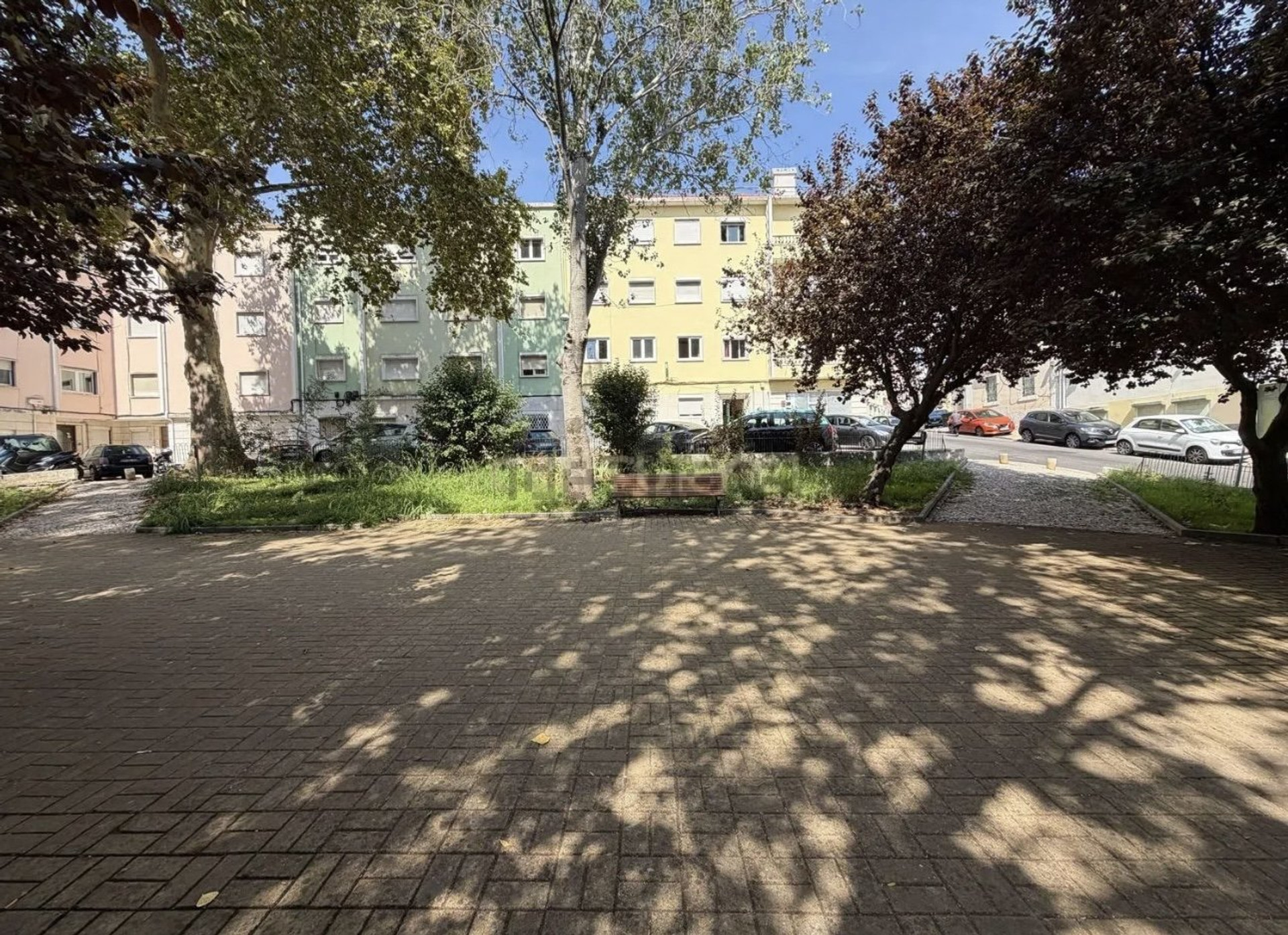 Tree-lined square near building
