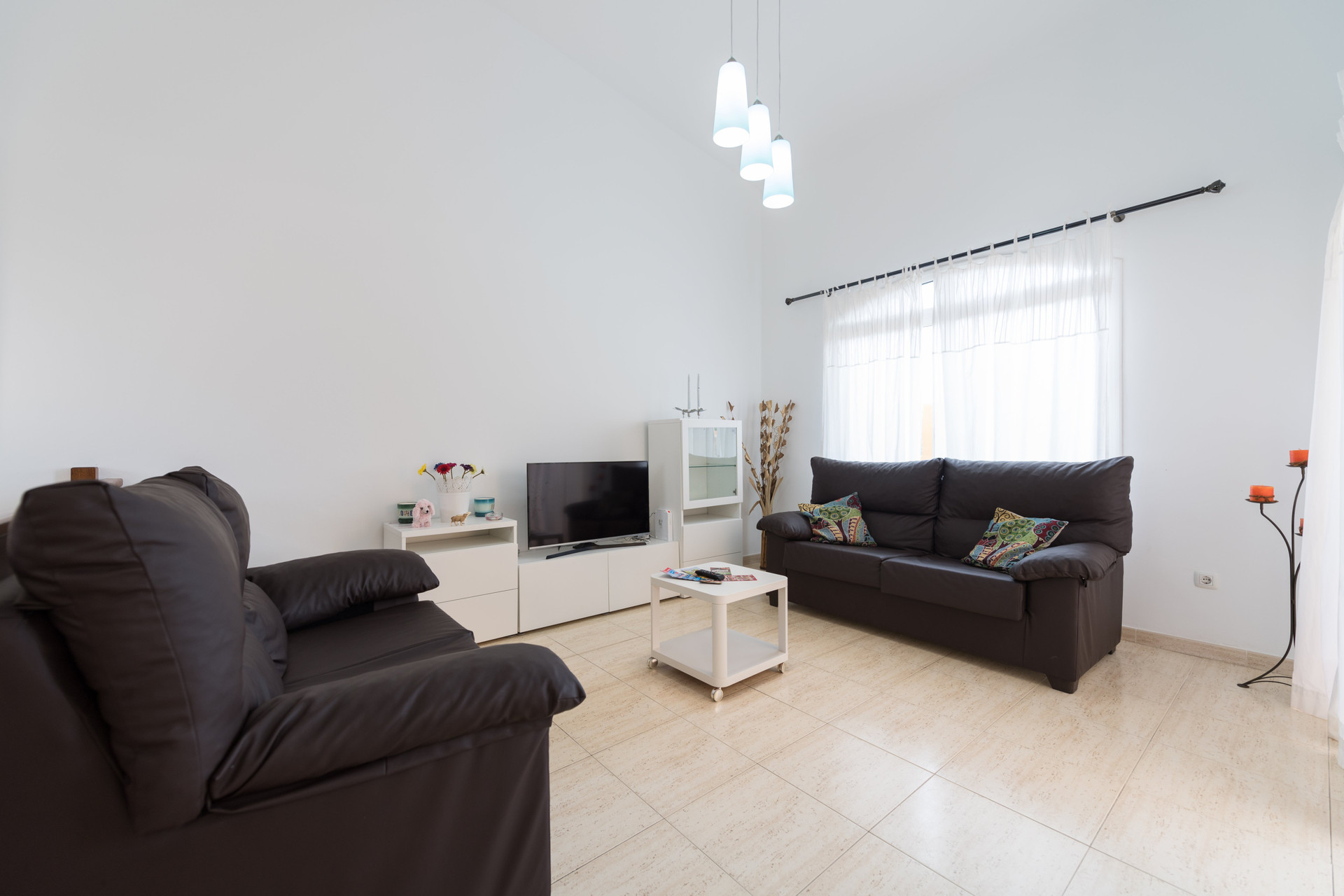 Living room with leather sofas