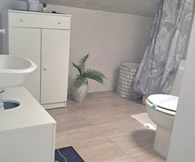 Second bathroom with tub