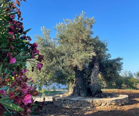 Quinta Vale Caranguejo -  Casa Nautica