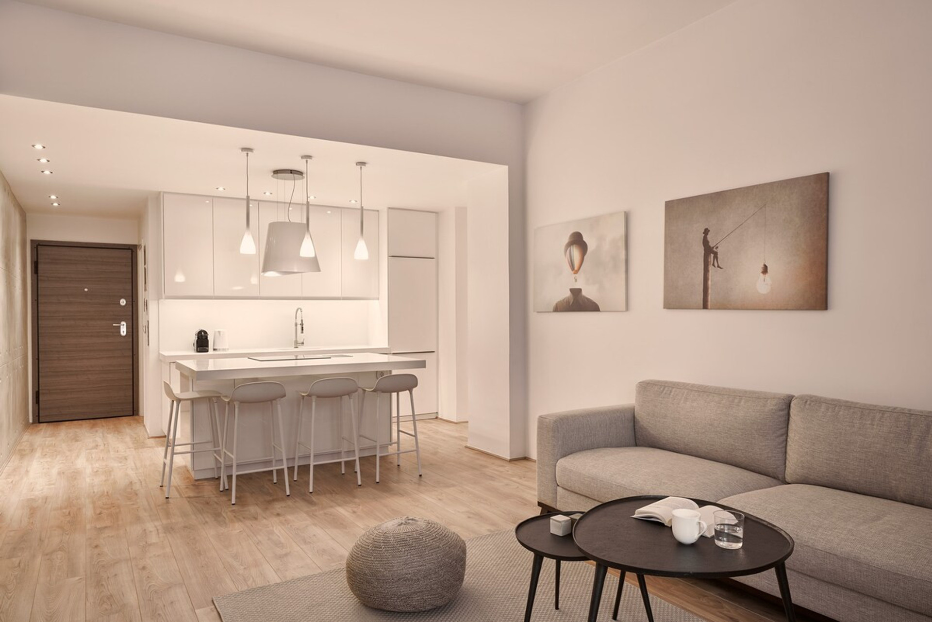 The full equipped kitchen and the living room at the same space