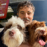 Landlords profile photo