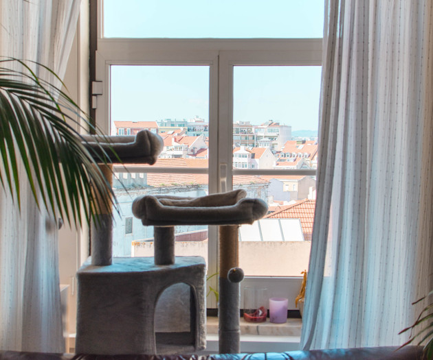 Lisbon Flat with Killer Views in Graça – 5 Rooms t