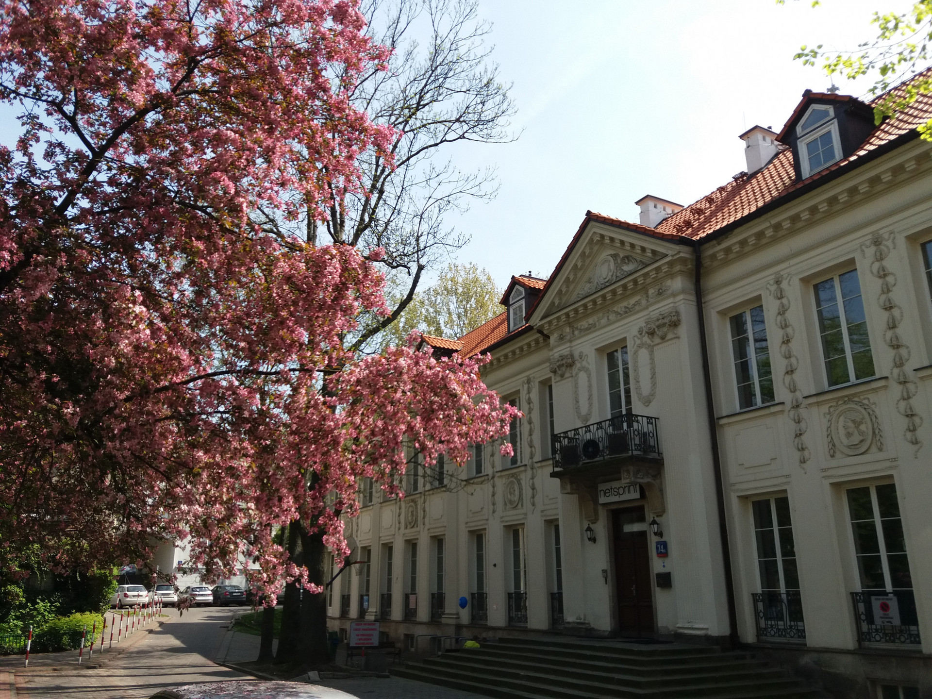 kawalerka, Śródmieście 11