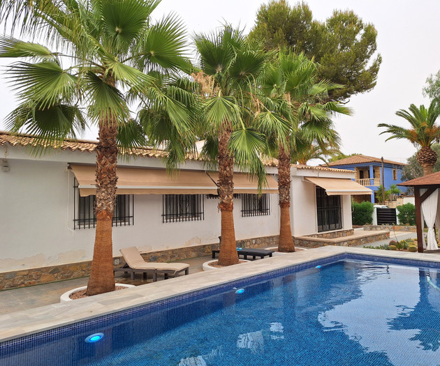 Pool with palm trees house