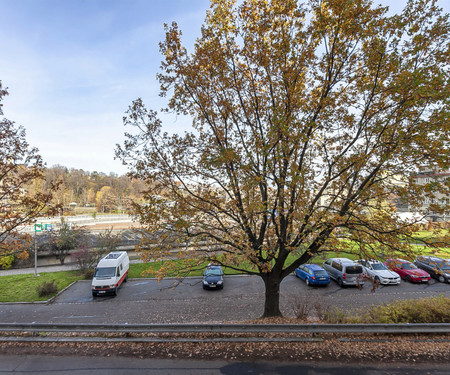 Flat with grand piano near Prague castle