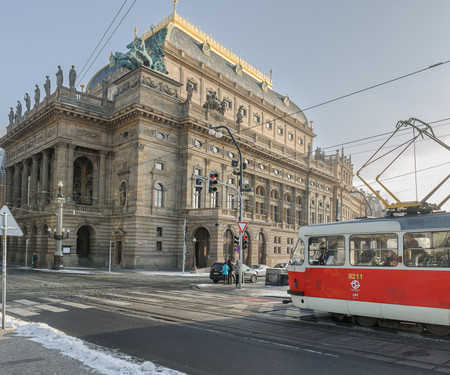 Large apartments in Prague